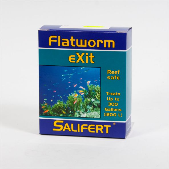 Flatworm EXIT-플랫웜-셀리퍼트