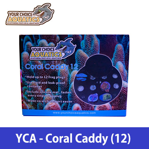 [YCA] Coral Caddy