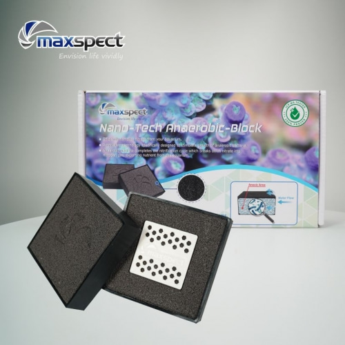 나노-테크 혐기성 박테리아 블럭-2블럭-맥스펙트