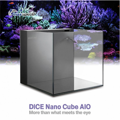 Dice Nano Cube AIO_수조-맥스펙트