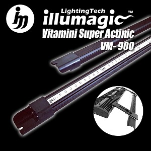 일루매직 비타미니 스트립 LED VM-900 (Illumagic Vitamini strip LED)
